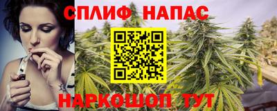 дмт Ставрополь