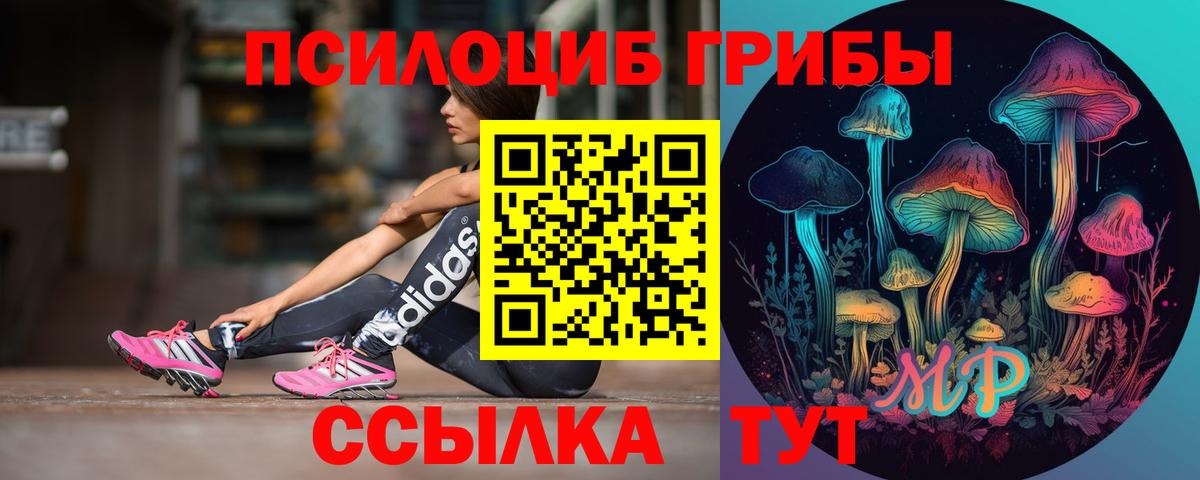 Псилоцибиновые грибы Psilocybe  Вход с VPN  Новозыбков  Галлюциногенные грибы ЛСД 